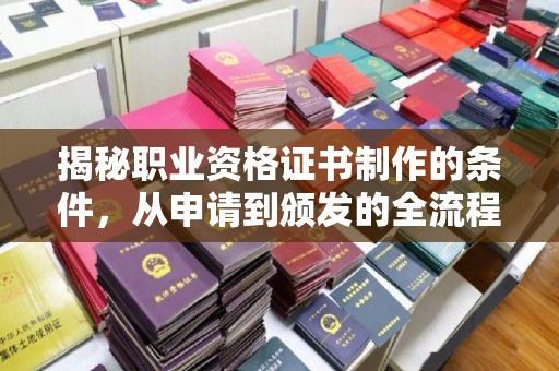 丹凤揭秘职业资格证书制作的条件，从申请到颁发的全流程解析